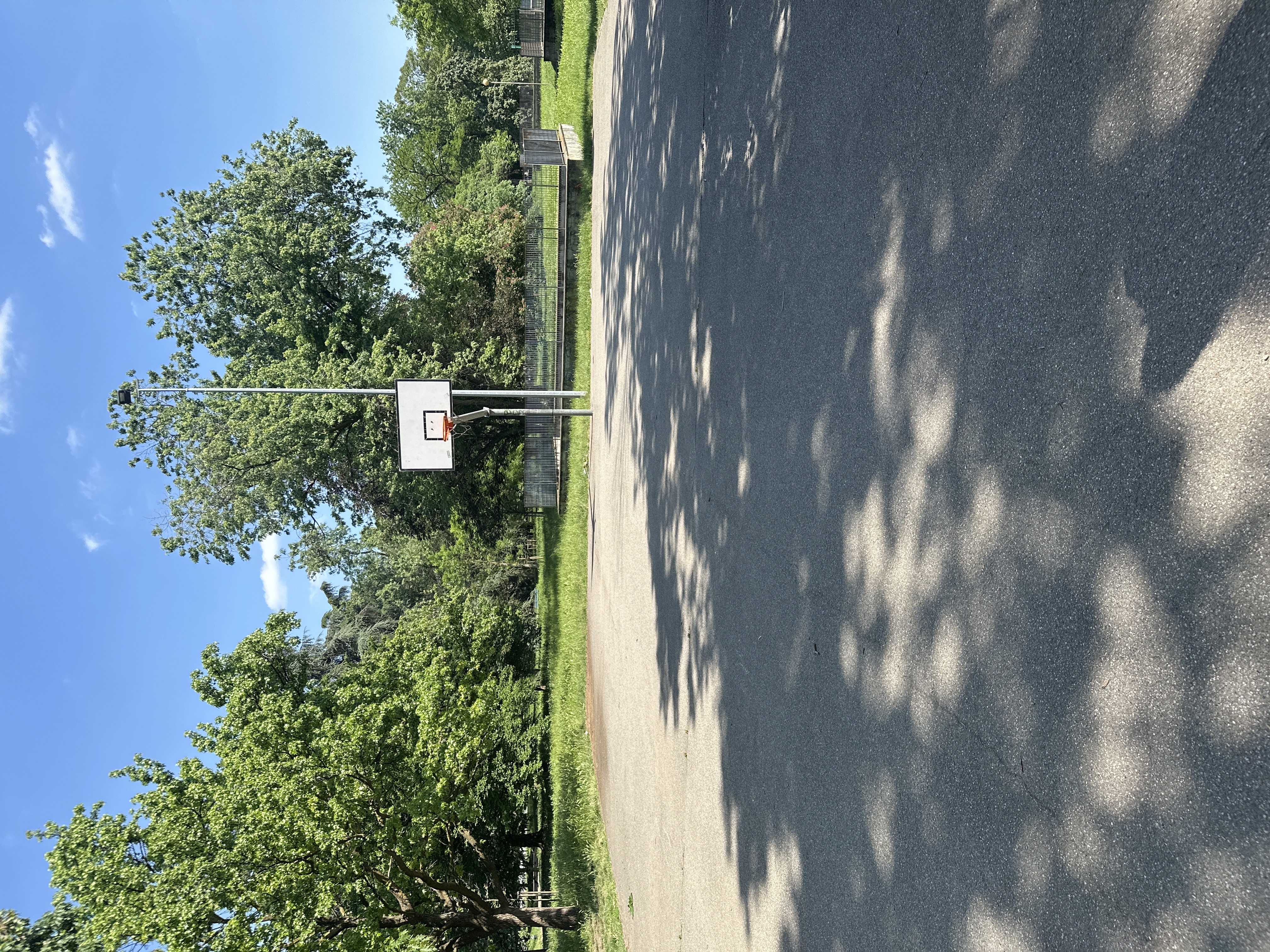 Parchetto canestri a Milano